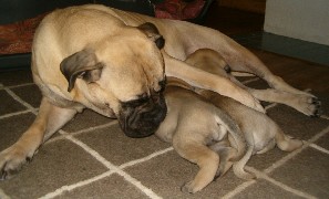 Selma & girls 5 weeks